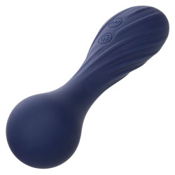 Calexotics - Charisma Temptation Masseur 12 Fonctions Violet